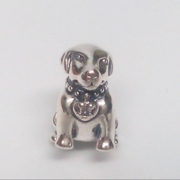 charm pandora labrador charm pandora labrador
